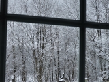20230311_130344-scaled