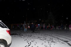 resized_IMG_0274