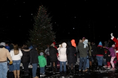 resized_IMG_0286
