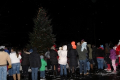 resized_IMG_0287