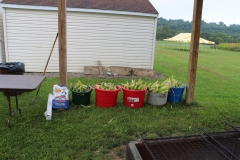 resized_IMG_9627