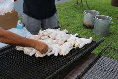 resized_IMG_9635