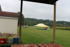resized_IMG_9652