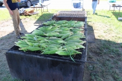 resized_IMG_9692