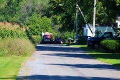 resized_IMG_9821