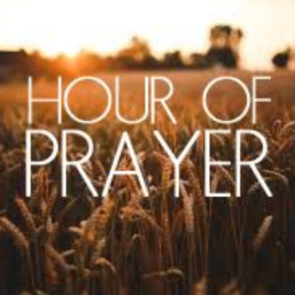 667863876_1246554944261972_1732035916563223344_n